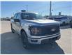 2025 Ford F-150 STX (Stk: VF1F00824) in Chatham - Image 5 of 18
