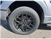 2025 Ford F-150 STX (Stk: VF1F00824) in Chatham - Image 7 of 18