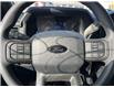 2025 Ford F-150 STX (Stk: VF1F00824) in Chatham - Image 14 of 18