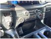 2025 Ford F-150 STX (Stk: VF1F00824) in Chatham - Image 15 of 18