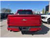 2025 Ford F-150 XLT (Stk: VF1F00883) in Chatham - Image 3 of 20