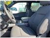 2025 Ford F-150 XLT (Stk: VF1F00883) in Chatham - Image 10 of 20