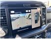 2025 Ford F-150 XLT (Stk: VF1F00883) in Chatham - Image 19 of 20