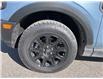 2025 Ford Bronco Sport Badlands (Stk: VFBS00893) in Chatham - Image 7 of 20