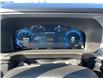 2025 Ford Bronco Sport Badlands (Stk: VFBS00893) in Chatham - Image 13 of 20