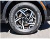 2025 Kia Sportage LX (Stk: LKSP00312) in Chatham - Image 8 of 24