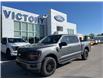 2025 Ford F-150 XLT (Stk: VF1F00724) in Chatham - Image 19 of 19