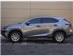 2021 Lexus NX 300 Base (Stk: PL9883) in Windsor - Image 3 of 25