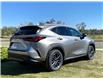 2025 Lexus NX 250 Base (Stk: 250885) in Calgary - Image 3 of 26