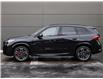 2025 BMW X1 xDrive28i (Stk: B10042) in Windsor - Image 4 of 26