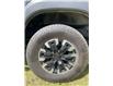 2023 Nissan Frontier PRO-4X (Stk: 25T9041A) in Pincher Creek - Image 9 of 17