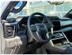 2025 GMC Sierra 2500HD Denali Ultimate (Stk: 96722) in Carleton Place - Image 11 of 26