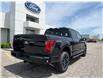 2025 Ford F-150 XLT (Stk: LFFF00460) in Tilbury - Image 3 of 15