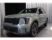 2025 Kia Sorento 2.5T X-Line Limited w/Black Interior (Stk: 26185) in Edmonton - Image 6 of 32