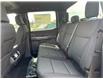 2025 Ford F-150 XLT (Stk: LFFF00460) in Tilbury - Image 15 of 15