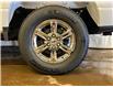 2025 Ford F-150 XLT (Stk: 25LT71) in St.Paul - Image 10 of 10