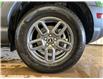 2025 Ford Bronco Sport Big Bend (Stk: 25BR14) in St.Paul - Image 10 of 10