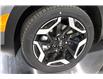 2025 Kia Seltos SX w/Black Interior (Stk: 26160) in Edmonton - Image 9 of 27