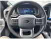2025 Ford F-150 XLT (Stk: LFFF00599) in Tilbury - Image 11 of 15