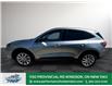 2021 Ford Escape SE (Stk: PR15635) in Windsor - Image 4 of 46