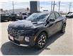 2024 Hyundai Santa Cruz Trend (Stk: CM00205T) in Chatham - Image 10 of 26