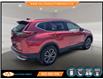 2021 Honda CR-V EX-L (Stk: 204244) in Lower Sackville - Image 5 of 24
