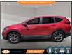 2021 Honda CR-V EX-L (Stk: 204244) in Lower Sackville - Image 8 of 24