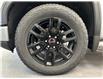 2025 GMC Sierra 1500 Elevation (Stk: 300576) in Lethbridge - Image 11 of 29