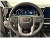 2025 GMC Sierra 1500 Elevation (Stk: 300576) in Lethbridge - Image 16 of 29