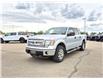 2013 Ford F-150  (Stk: A01065) in Hague - Image 4 of 15