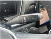 2025 GMC Terrain Elevation (Stk: RCTN00789) in LaSalle - Image 23 of 29