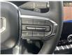 2025 GMC Terrain Elevation (Stk: RCTN00789) in LaSalle - Image 28 of 29