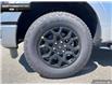 2025 Ford F-150 XLT (Stk: 5F116888) in Brantford - Image 6 of 23