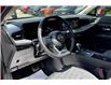 2025 Nissan Kicks SV (Stk: 25KK3724) in Cranbrook - Image 6 of 13