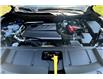 2025 Nissan Rogue Midnight Edition (Stk: 1248BNN) in Owen Sound - Image 11 of 13