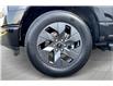 2022 Ford F-150 Lightning Lariat (Stk: P0179) in Vancouver - Image 14 of 49