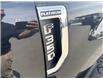 2021 Ford F-350 Platinum (Stk: ED15768K) in Cranbrook - Image 22 of 23