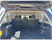 2017 Toyota 4Runner SR5 (Stk: W185632C) in Cranbrook - Image 19 of 22