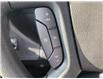2025 Chevrolet Express 2500 Work Van (Stk: N250336) in Stony Plain - Image 31 of 36