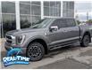 2023 Ford F-150 Platinum (Stk: H25814A) in High River - Image 1 of 21