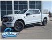 2023 Ford F-150 Tremor (Stk: HU3665) in High River - Image 1 of 21