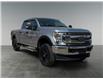 2020 Ford F-250 XLT (Stk: P40095D) in Saskatoon - Image 8 of 16
