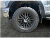 2020 Ford F-250 XLT (Stk: P40095D) in Saskatoon - Image 16 of 16