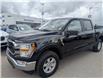 2021 Ford F-150 XLT (Stk: S-1114A) in Calgary - Image 1 of 22