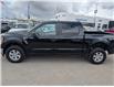 2021 Ford F-150 XLT (Stk: S-1114A) in Calgary - Image 2 of 22