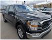 2021 Ford F-150 XLT (Stk: S-1114A) in Calgary - Image 7 of 22