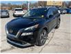 2021 Nissan Rogue Platinum (Stk: 250267) in North Bay - Image 8 of 42