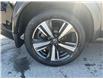 2021 Nissan Rogue Platinum (Stk: 250267) in North Bay - Image 26 of 42