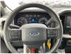 2023 Ford F-150 XLT (Stk: 250240) in North Bay - Image 12 of 20