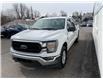 2023 Ford F-150 XLT (Stk: 250240) in North Bay - Image 6 of 20